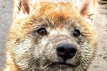 开云体育中国-跨界风暴，厄瓜多尔足球逆袭比利时，德里赫特F1首秀称霸揭幕战