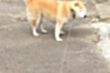 开云体育在线-克瓦拉茨赫利亚光芒万丈！格鲁吉亚力克威尔士，全场最佳无争议