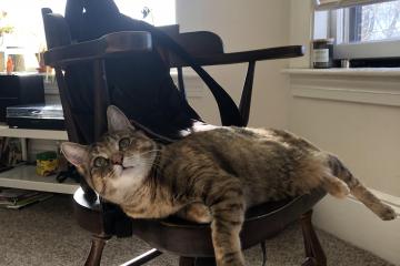 开云体育登录-街道狂飙与加勒比风暴，当F1遇上牙买加打穿巴萨神话