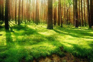 开云体育平台APP-范弗利特爆发助尼克斯大胜深圳队，跨洲对决彰显NBA实力