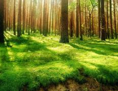 开云下载-绿茵与引擎的共振，当贝林厄姆在巴林驾驭红色流星