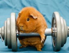 开云体育官网-帕尔默末节狂飙，美国压哨绝杀土耳其！这场胜利为何如此惊心动魄？