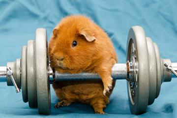 开云体育官网-帕尔默末节狂飙，美国压哨绝杀土耳其！这场胜利为何如此惊心动魄？