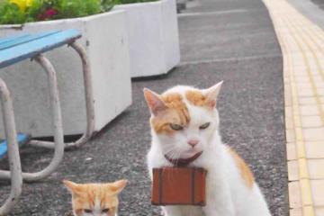 开云体育官方网站-库里致命三分弑旧主！热火客场掀翻公牛，昔日弃将化身关键先生