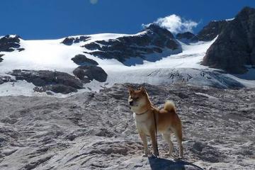 开云体育-戈贝尔制胜表现引领开拓者碾压骑士，内线巨塔铸就酣畅大胜