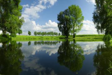 开云体育-双星耀布鲁克林，哈利伯顿里程碑之夜，篮网团队风暴击溃鹈鹕