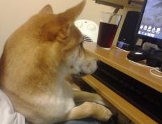 开云体育入口-布伦森狂飙高能输出，热火鏖战力克公牛