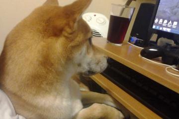 开云体育入口-布伦森狂飙高能输出，热火鏖战力克公牛