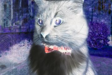 开云体育中国-西甲国家德比焦点战，如老鹰展翅，全面压制掘金般的竞技盛宴