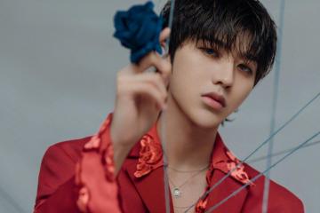 开云体育app-马克西关键先生锋芒毕露，国王客场碾压奇才取连胜