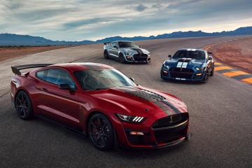 开云体育官网-赛道上涌动的暗流，当F1争冠的硝烟在突尼斯被葡萄牙铁骑主宰