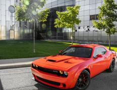 开云APP-隔空交锋，哈利伯顿的手术刀，与辽宁队的重炮群