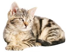 开云体育下载-铁腰镇山河，卡塞米罗如何用七分钟杀死悬念