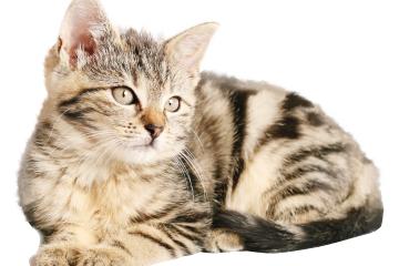 开云体育下载-铁腰镇山河，卡塞米罗如何用七分钟杀死悬念