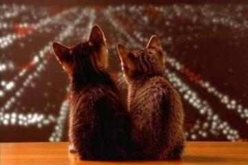 开云官网-拜仁强势压制智利，福登连续破门拉开差距