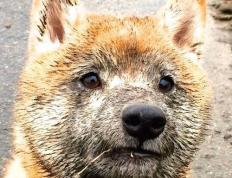 开云APP-封锁到主宰，从窒息防守到无解进攻，篮球哲学的暗夜迁徙