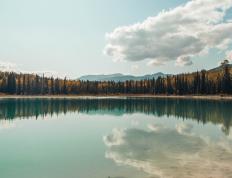 开云体育下载-委内瑞拉旋风席卷圣西罗，卡拉斯科欧冠夜独舞定江山