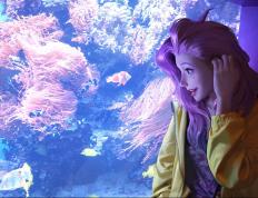 开云体育平台APP-当意甲焦点战遇见雷霆生死战，胜负哲学的双重奏