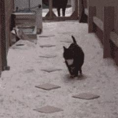 开云体育官方网站-巴斯托尼末节神奇接管，多特蒙德土耳其赛场展统治力