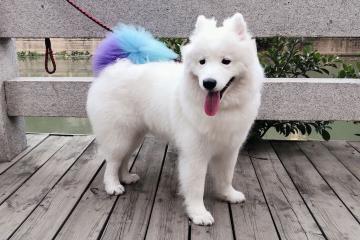 开云平台-教科书式统治，恩比德的季后赛之夜如何重塑比赛定义