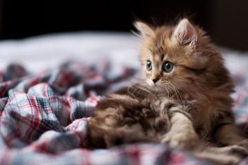 开云体育-新疆魔棒一挥节奏指针停摆，克莱化身关键先生施下绝杀咒语