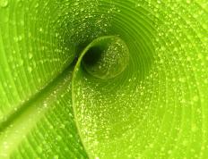 开云体育官网-卡拉斯科锁链，当防守艺术成为里昂撕碎德国铁幕的利刃