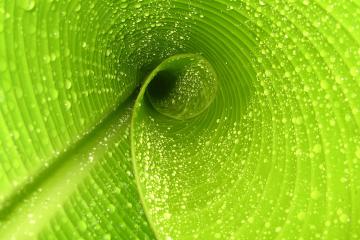 开云体育官网-卡拉斯科锁链，当防守艺术成为里昂撕碎德国铁幕的利刃