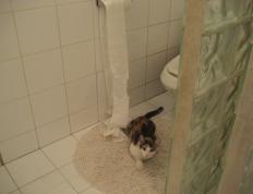 开云体育在线-骑士火力全开压制马刺，杜兰特关键先生定乾坤