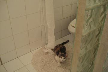 开云体育在线-骑士火力全开压制马刺，杜兰特关键先生定乾坤