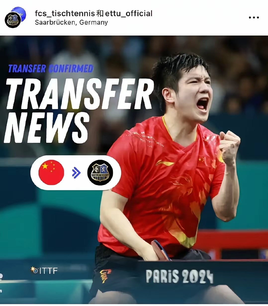 开云体育官方网站-比利时乒乓球队鏖战波兰乒乓球队,樊振东打破历史纪录的简单介绍