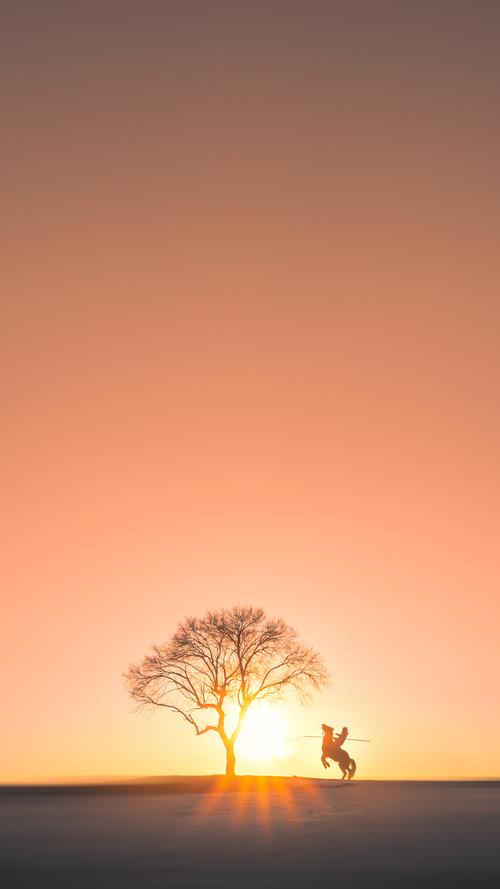 开云体育-若日尼奥指挥若定,荷兰力克沙特展现战术成熟