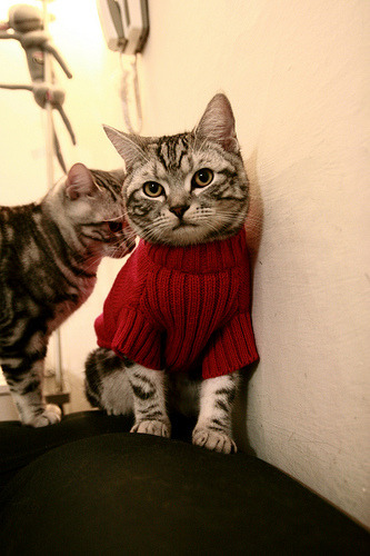 开云体育在线-篮球双城记，勇士轻取魔术悬念早定，小贾伦意甲焦点战独揽风云