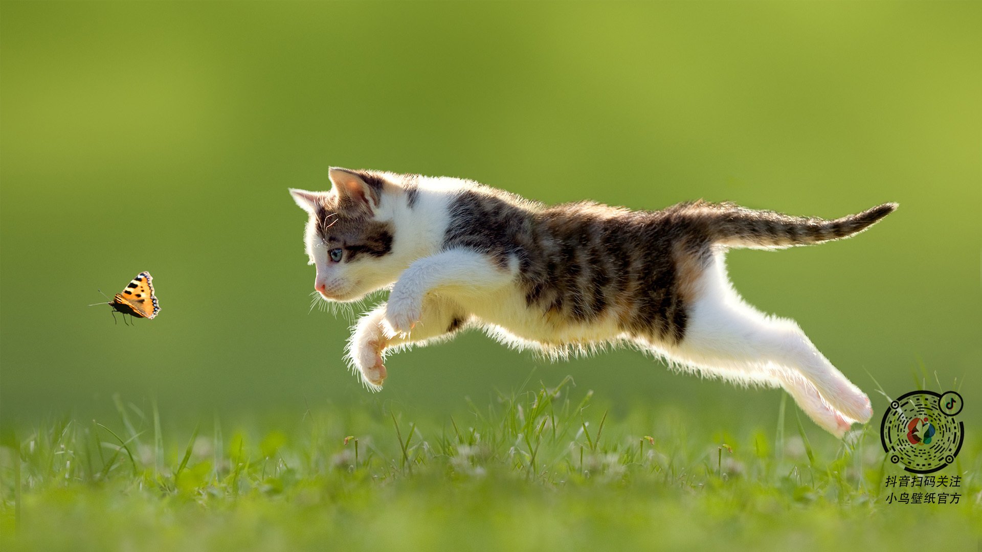 开云体育平台APP-魔术压制奇才,拉文在2026世界杯接管比赛