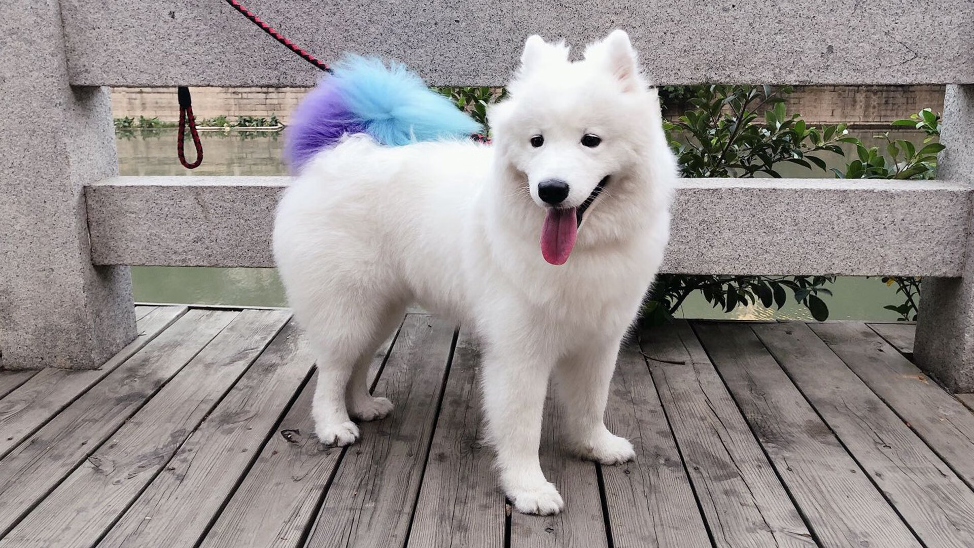 开云平台-教科书式统治,恩比德的季后赛之夜如何重塑比赛定义