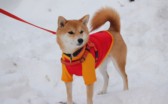 开云体育-闪耀欧洲！黄喜灿双响助莱比锡力克那不勒斯