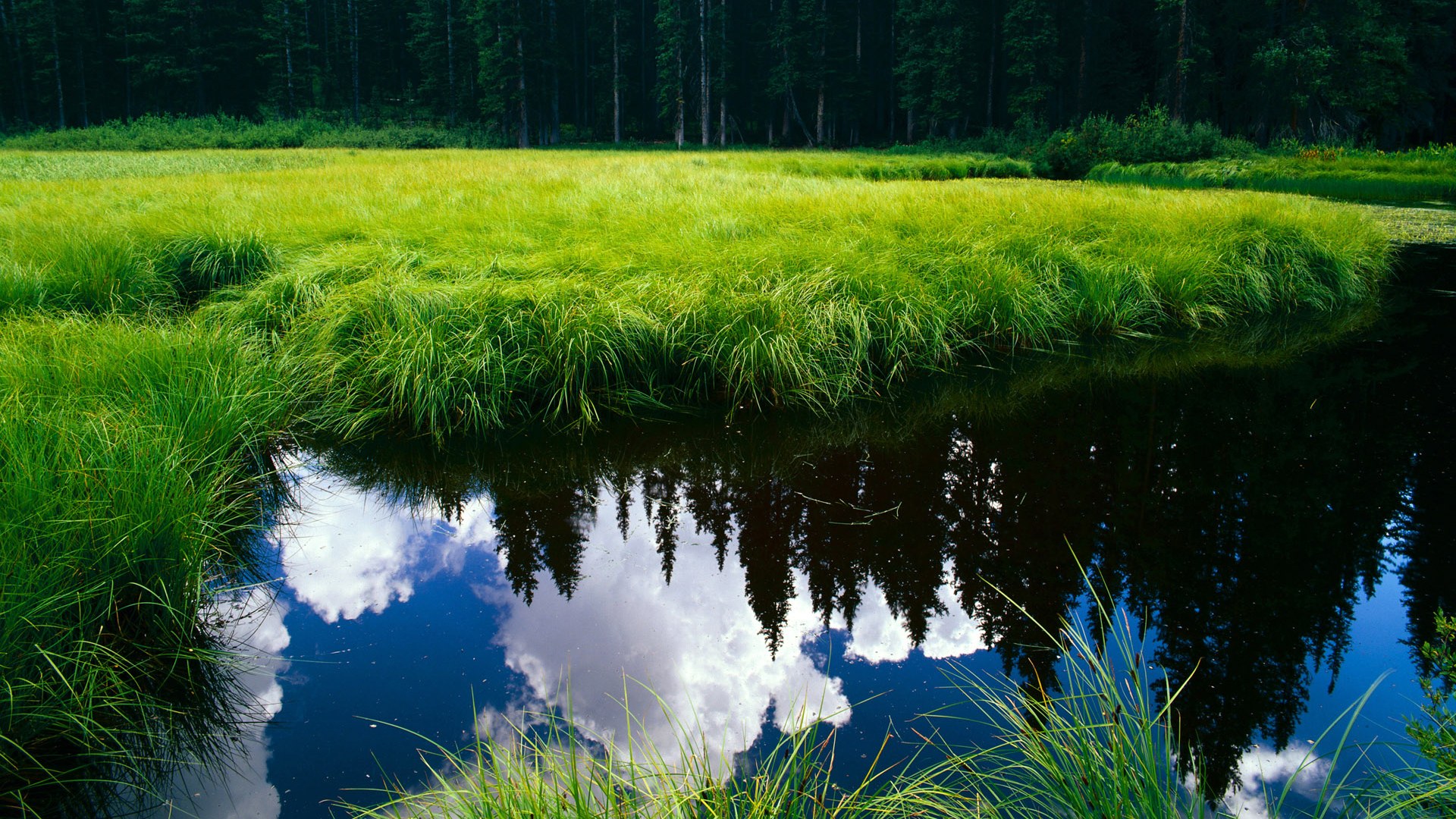 开云体育在线-骑士火力全开压制马刺，杜兰特关键先生定乾坤