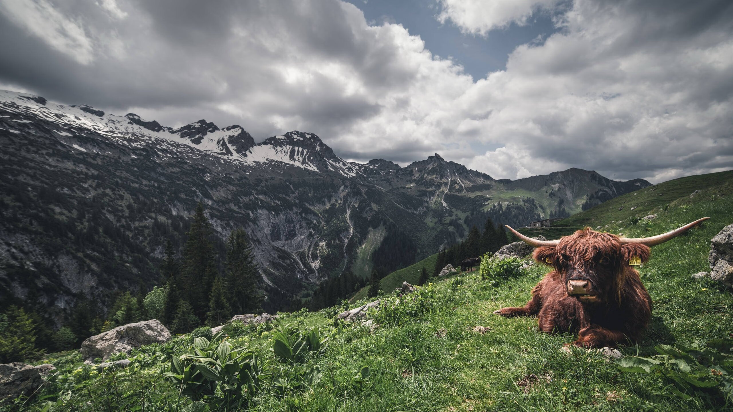开云体育登录-意甲落幕，北方三强的角力与英超西甲的欧洲霸权