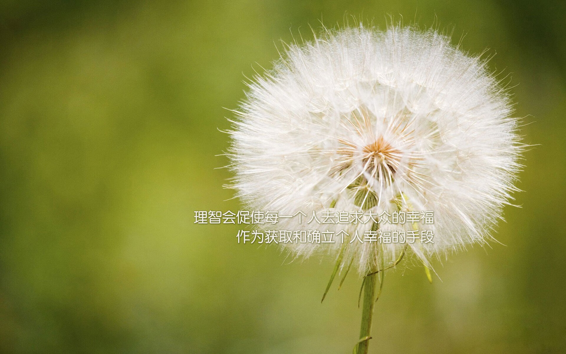 开云体育官网-绿衫狂潮席卷天山!拉梅洛决胜三分钟成关键先生