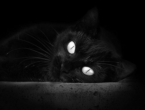 开云体育下载-F1年度争冠焦点战，奇才终结马刺式的速度与荣耀