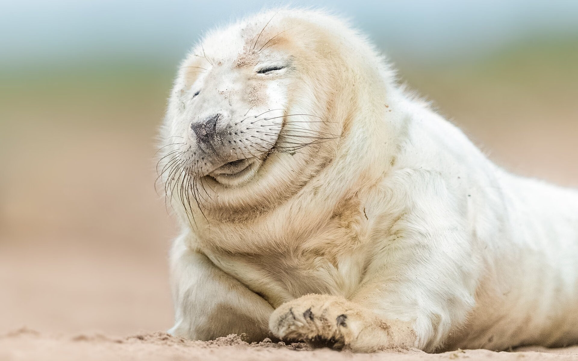 开云体育入口-冷门与神迹，横跨东西方的篮球传奇之夜