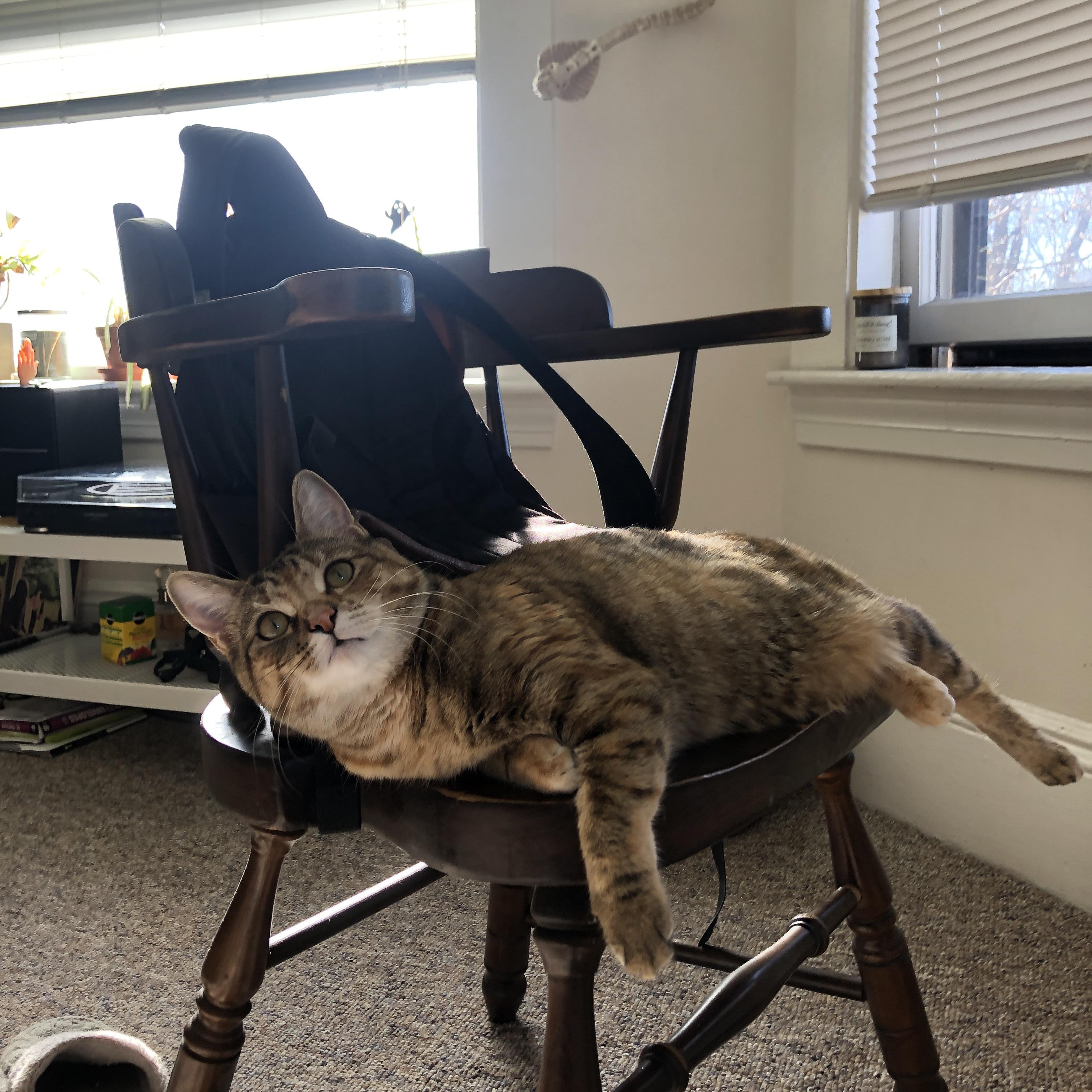 开云平台-雷霆贯穹顶,压哨定乾坤 记西决史诗之战