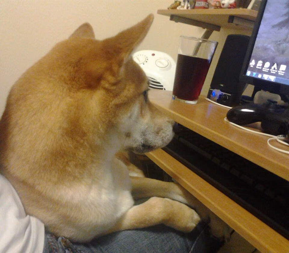 开云体育入口-布伦森狂飙高能输出，热火鏖战力克公牛