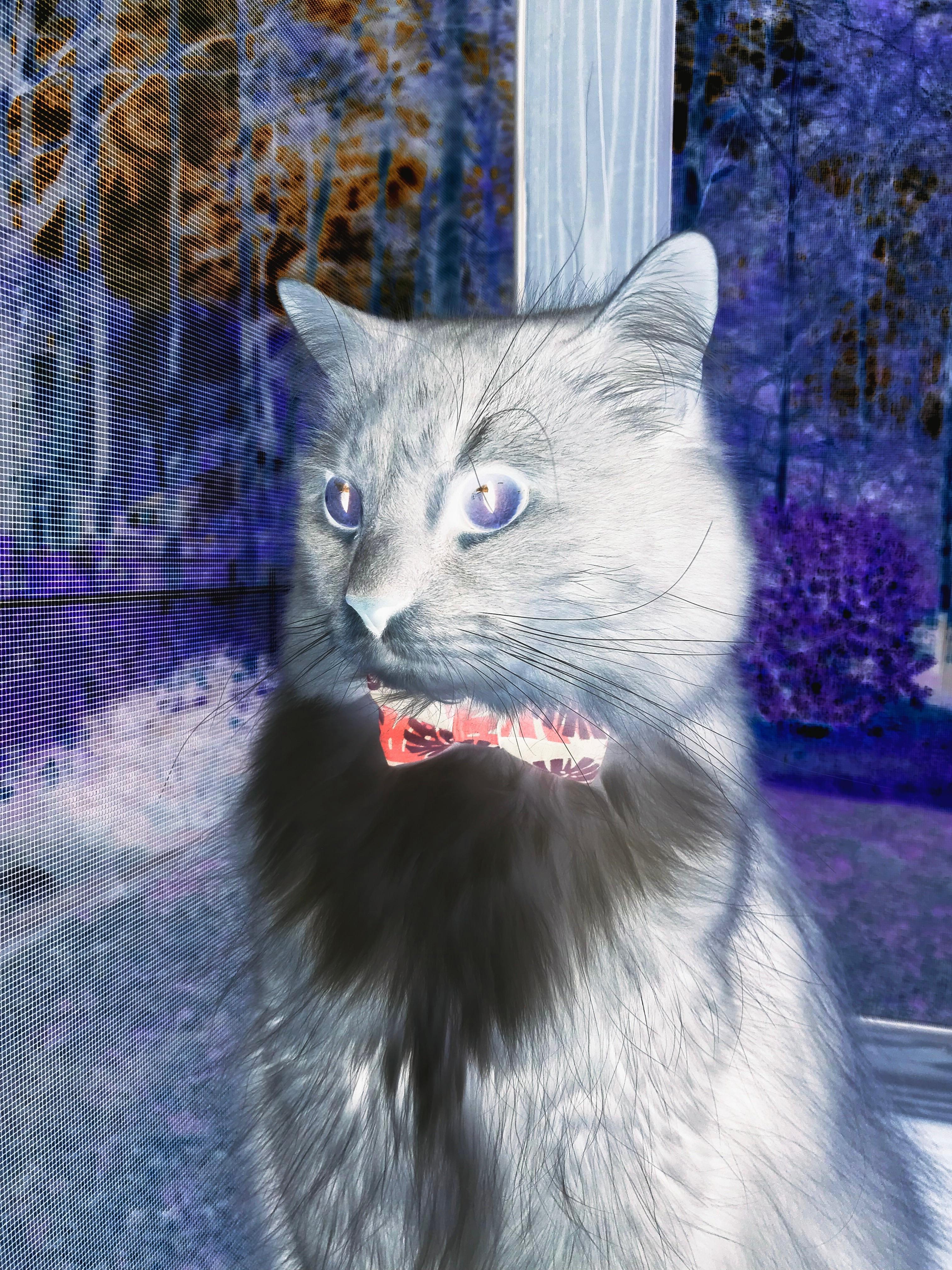 开云体育中国-西甲国家德比焦点战，如老鹰展翅，全面压制掘金般的竞技盛宴