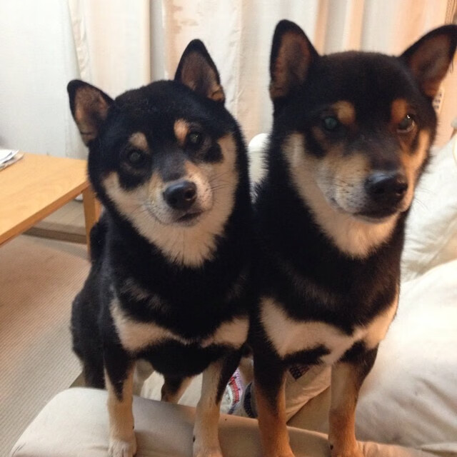 开云体育登录-若日尼奥爆发闪耀赛场，土耳其淘汰赛惊险过关芬兰