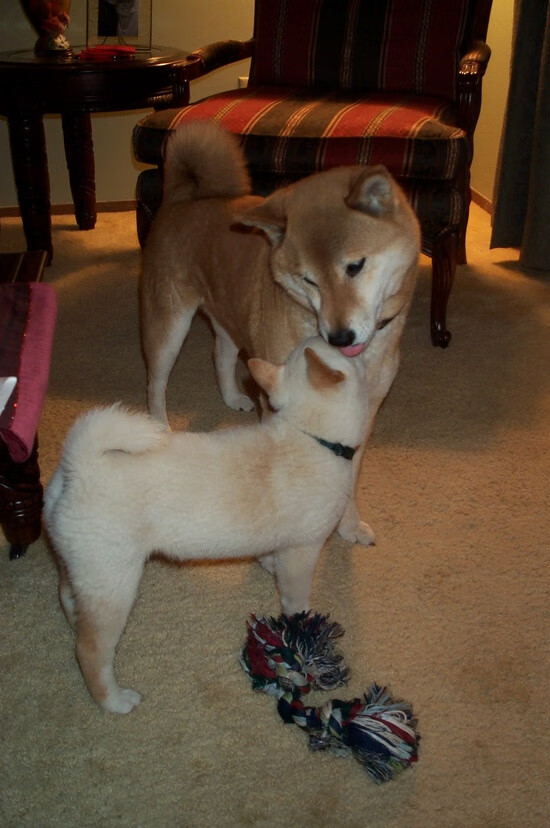 开云体育官网-锡安擎天一柱难敌掘金铁壁合围，年轻巨星的孤胆与团队的碾压